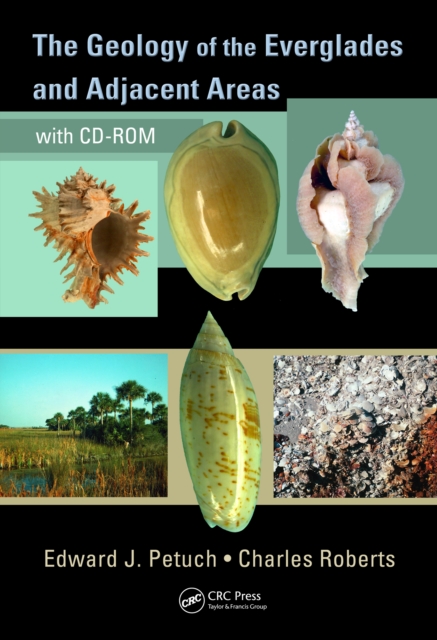 Geology of the Everglades and Adjacent Areas