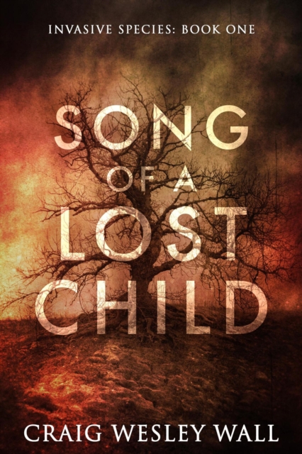 Song of a Lost Child