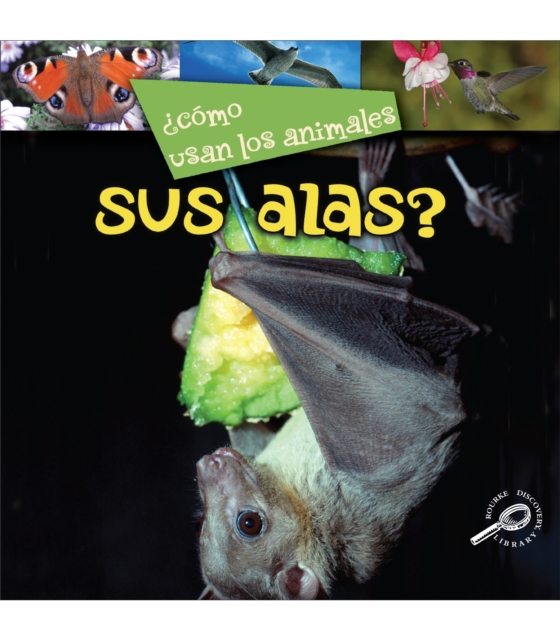 ¿Como usan los animales… sus alas?