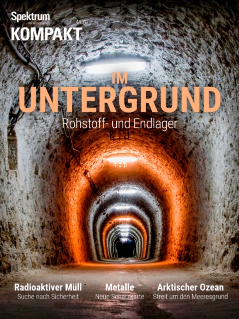 Spektrum Psychologie - Bindung