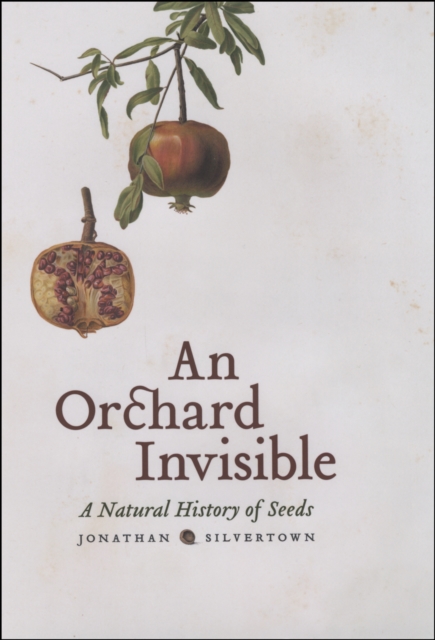 Orchard Invisible