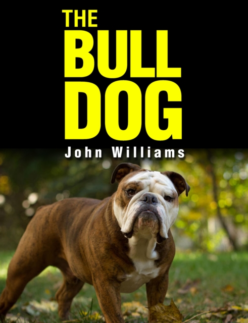 Bulldog
