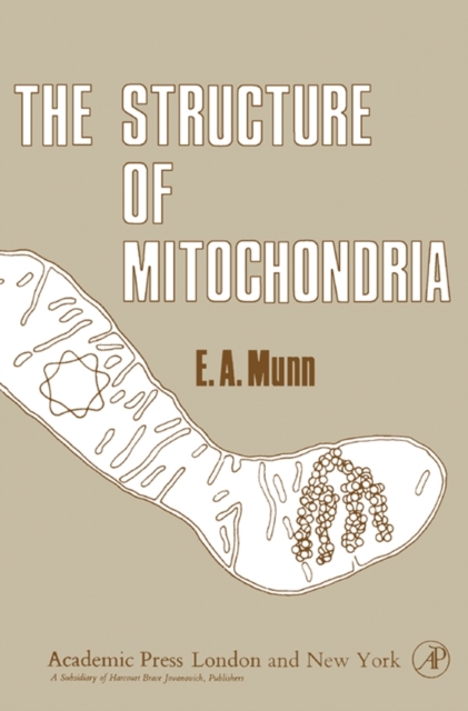 Structure of Mitochondria