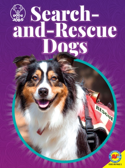 Therapy Dogs