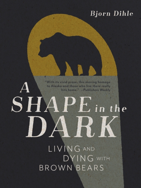 Shape in the Dark