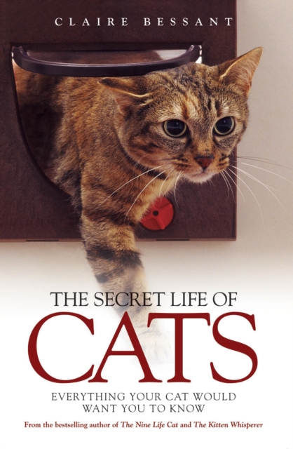 Secret Life of Cats