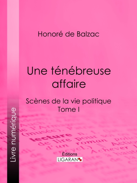 Une ténébreuse affaire