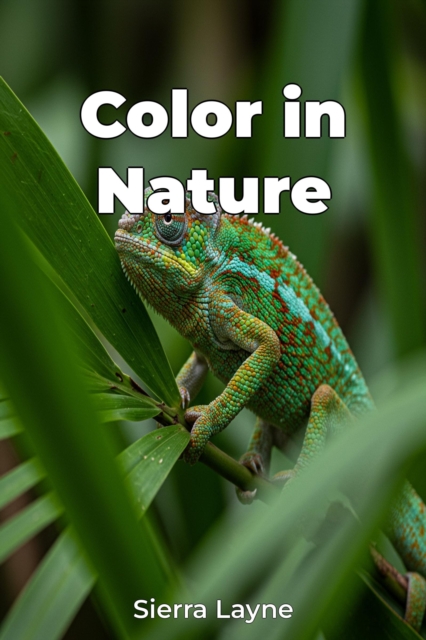 Color in Nature