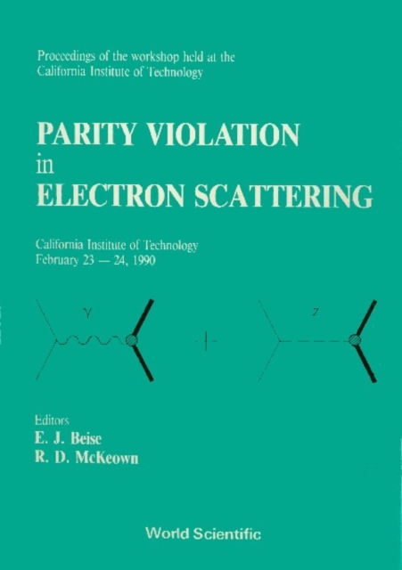 Parity Violation In Electron Scattering - Proceedings Of The Workshop