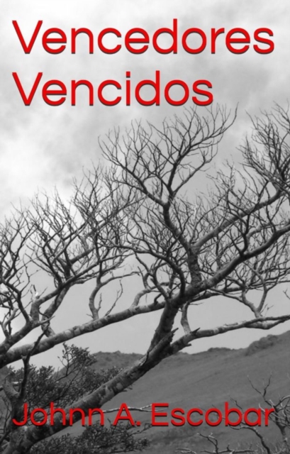 Vencedores vencidos