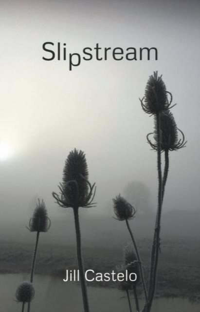 Slipstream