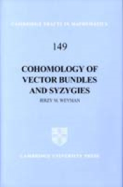 Cohomology of Vector Bundles and Syzygies