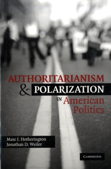 Authoritarianism and Polarization in American Politics