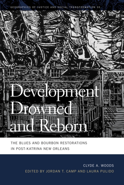 Development Drowned and Reborn