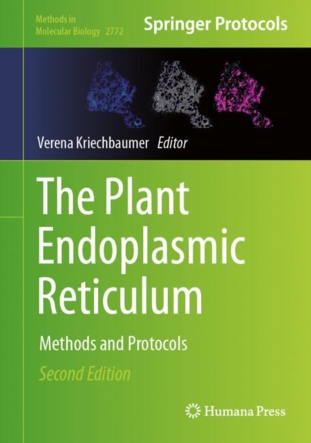 Plant Endoplasmic Reticulum