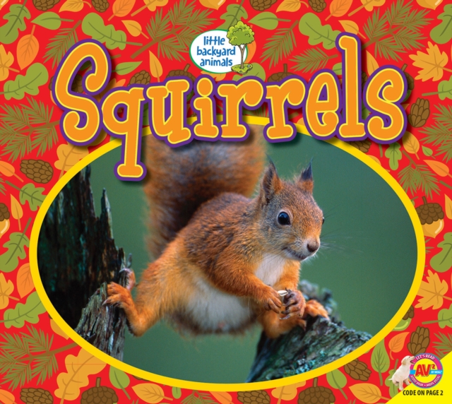 Squirrels 