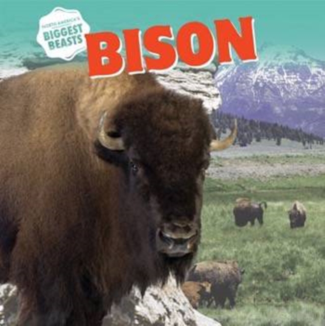 Bison