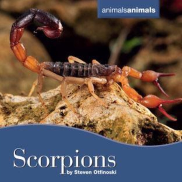 Scorpions