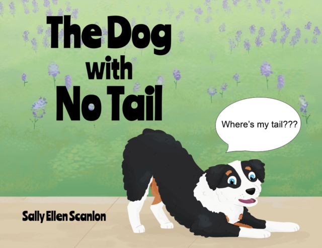 Dog with No Tail