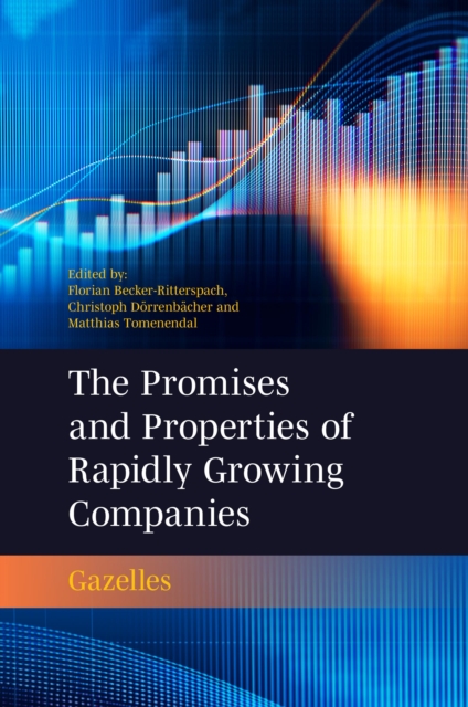 Promises and Properties of Rapidly Growing Companies