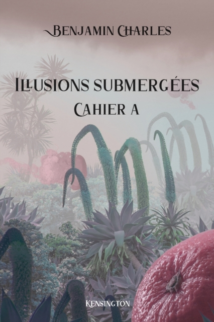 Illusions submergées