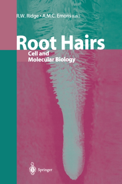 Root Hairs