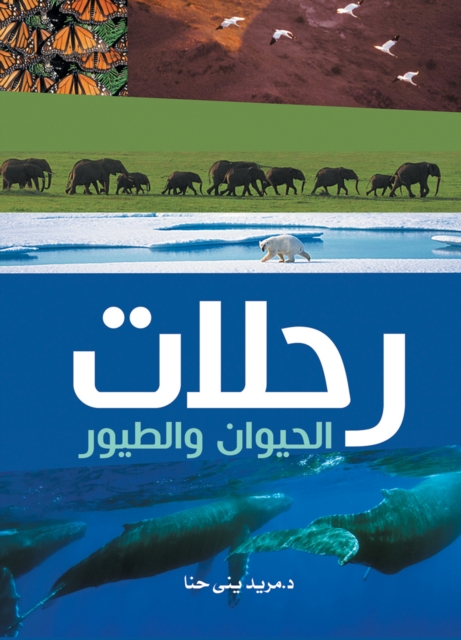 Animal and bird trips