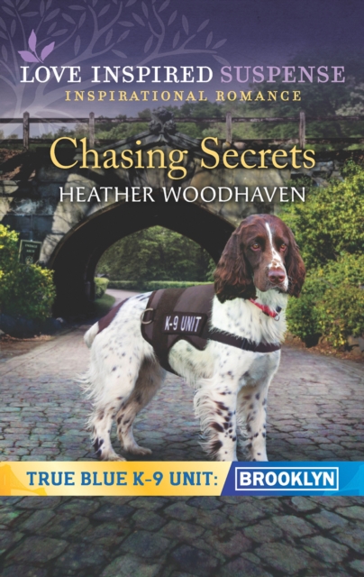 CHASING SECRETS_TRUE BLUE2 EB