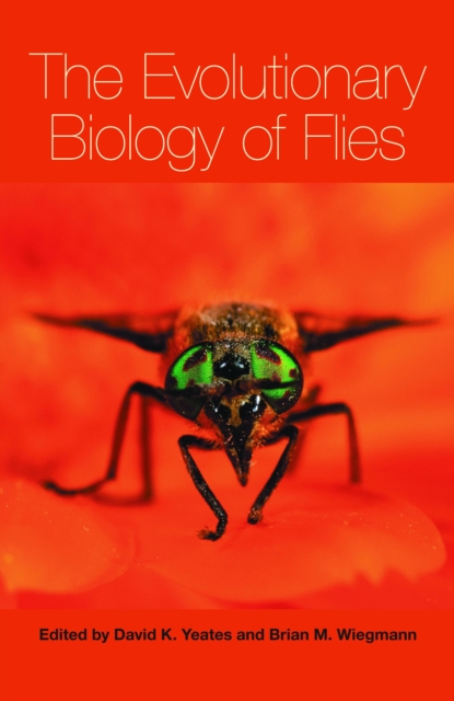 Evolutionary Biology of Flies