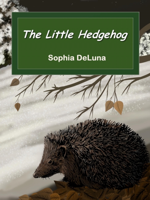 Little Hedgehog