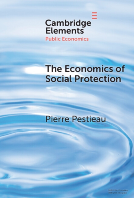 Economics of Social Protection
