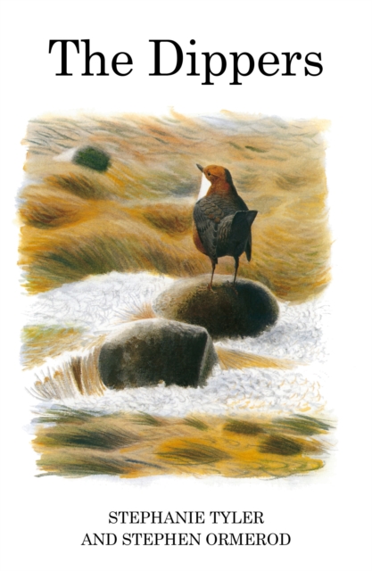 Dippers