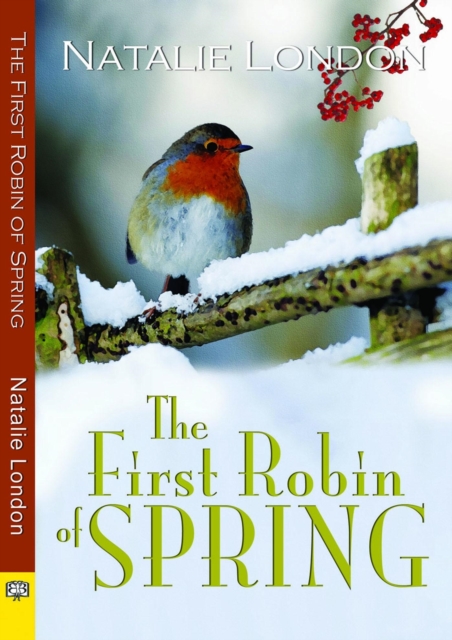 First Robin of Spring