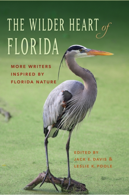 Wilder Heart of Florida