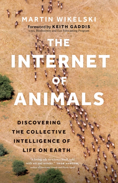 Internet of Animals