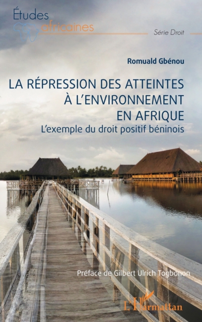 La répression des atteintes  à l’environnement en Afrique