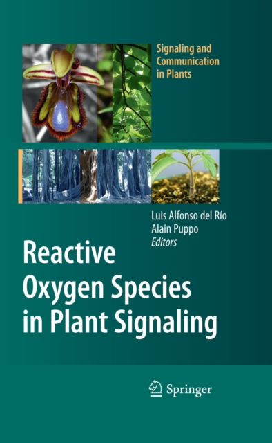 Reactive Oxygen Species in Plant Signaling