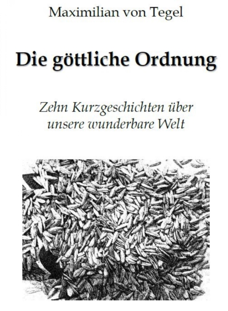 Die Göttliche Ordnung