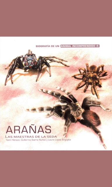 Arañas