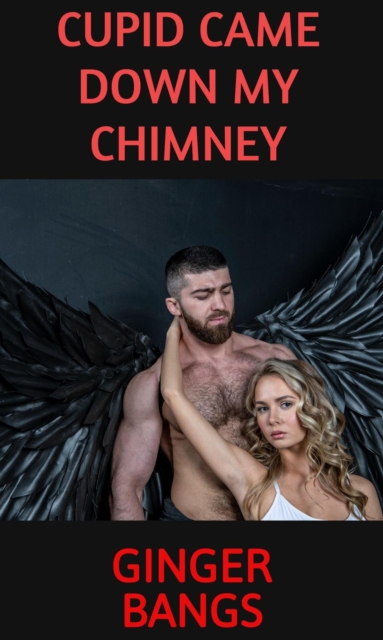 Cupid Came Down My Chimney