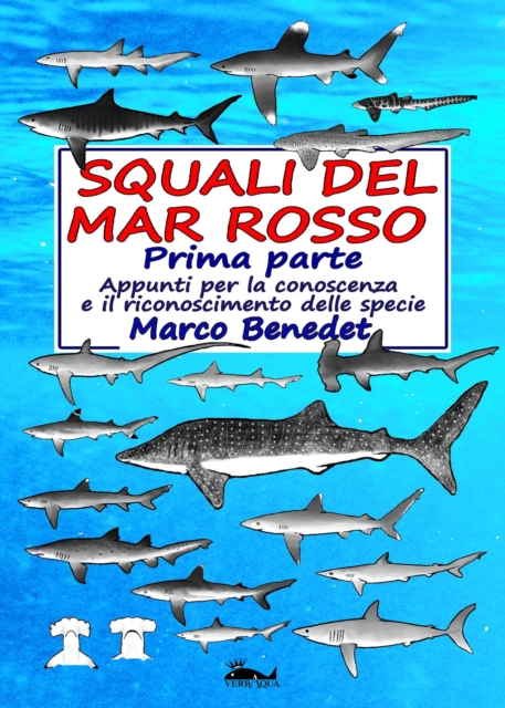 Squali del Mar Rosso - 1a parte