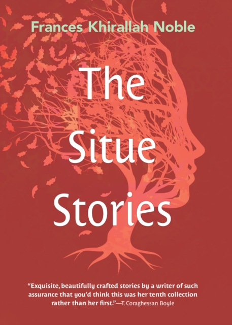 Situe Stories