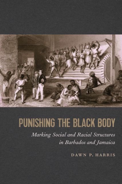 Punishing the Black Body