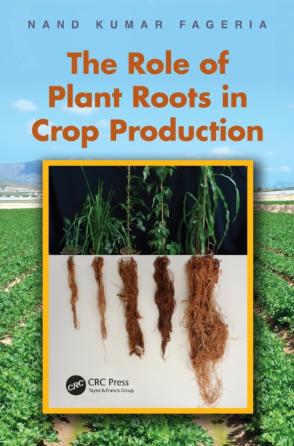 Role of Plant Roots in Crop Production