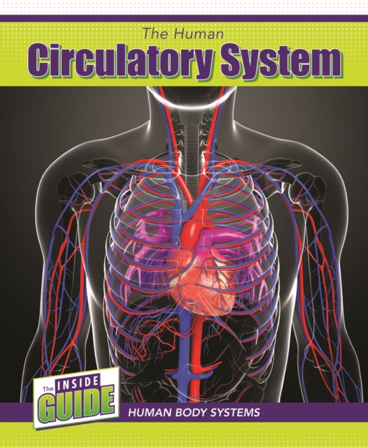 Human Circulatory System