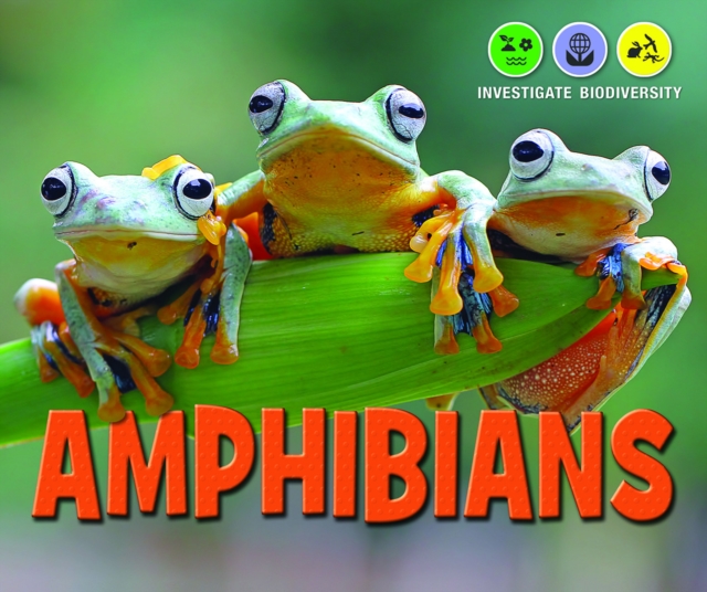 Amphibians