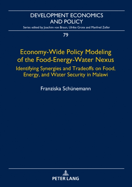Economy-Wide Policy Modeling of the Food-Energy-Water Nexus