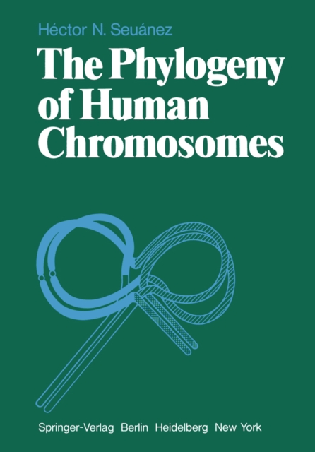 Phylogeny of Human Chromosomes