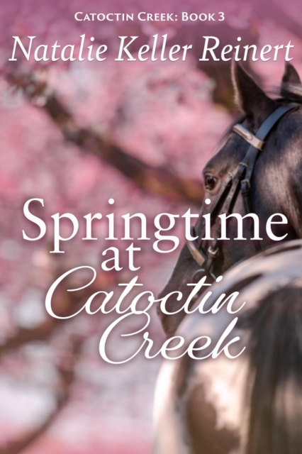 Springtime at Catoctin Creek