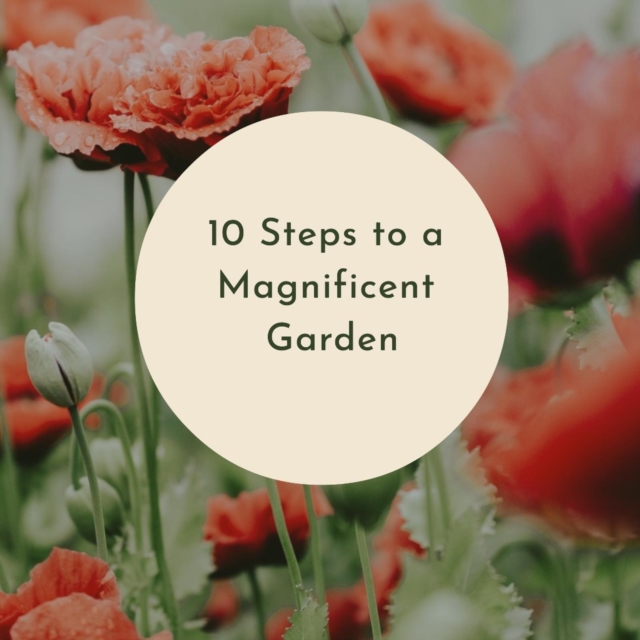 10 Steps to a Magnificent Garden